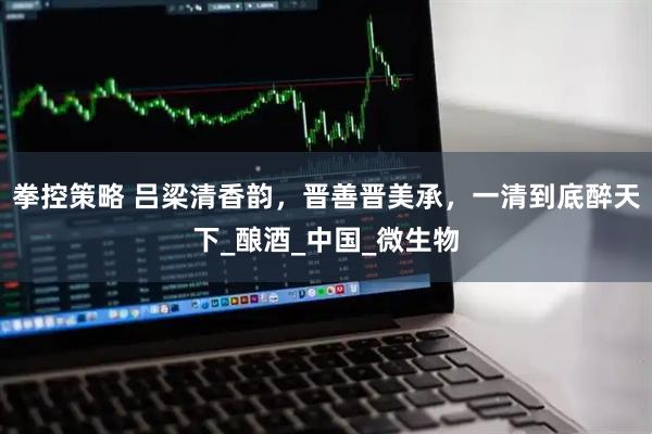 拳控策略 吕梁清香韵，晋善晋美承，一清到底醉天下_酿酒_中国_微生物