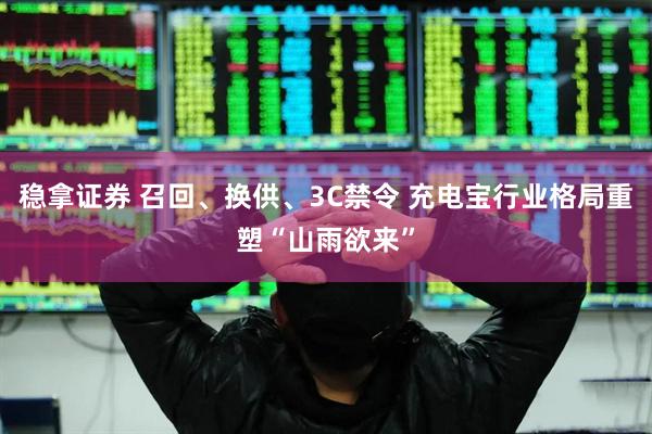 稳拿证券 召回、换供、3C禁令 充电宝行业格局重塑“山雨欲来”