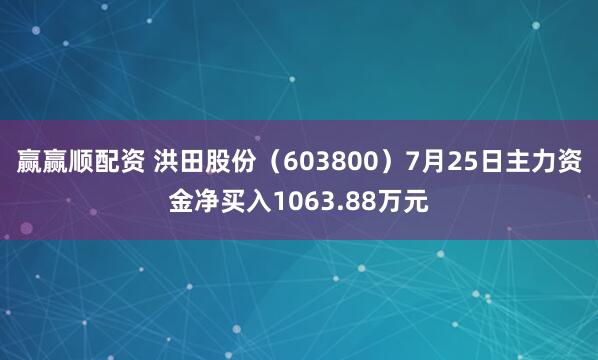 赢赢顺配资 洪田股份（603800）7月25日主力资金净买入1063.88万元