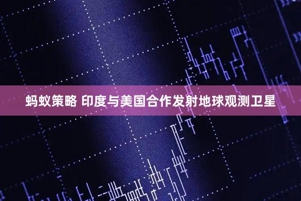 蚂蚁策略 印度与美国合作发射地球观测卫星