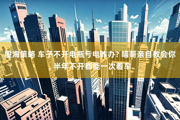 股海策略 车子不开电瓶亏电咋办? 喵哥亲自教会你, 半年不开都能一次着车
