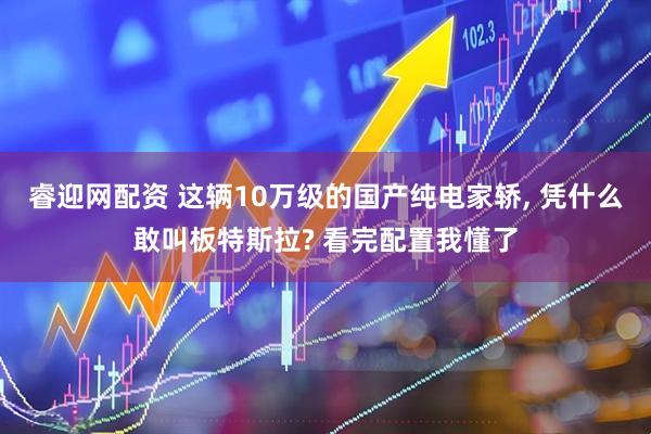 睿迎网配资 这辆10万级的国产纯电家轿, 凭什么敢叫板特斯拉? 看完配置我懂了