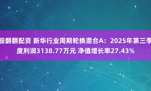 股翻翻配资 新华行业周期轮换混合A:2025年第三季度利润3138.77万元 净值增长率27.43%