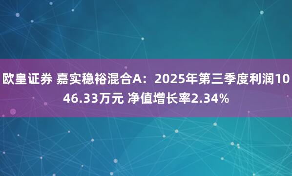 欧皇证券 嘉实稳裕混合A:2025年第三季度利润1046.33万元 净值增长率2.34%