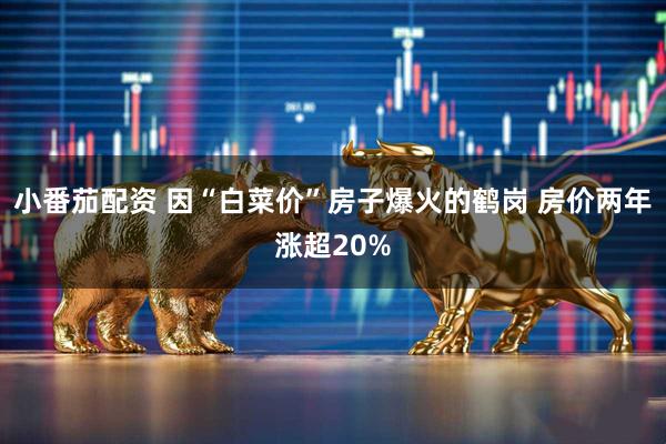 小番茄配资 因“白菜价”房子爆火的鹤岗 房价两年涨超20%