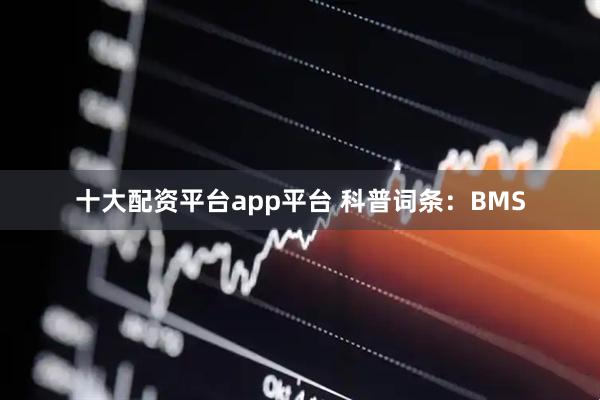 十大配资平台app平台 科普词条：BMS