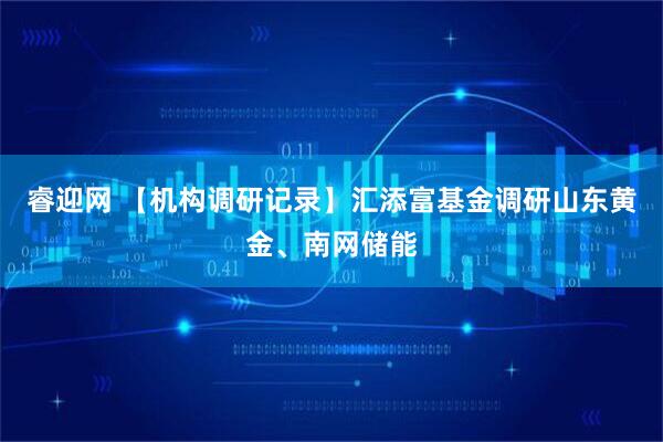 睿迎网 【机构调研记录】汇添富基金调研山东黄金、南网储能